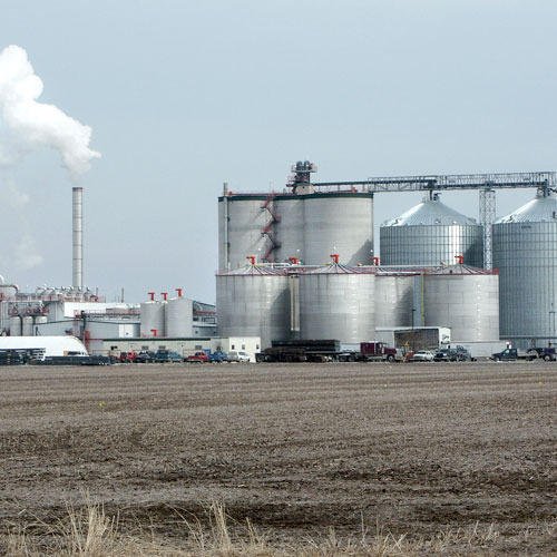 Raj Ethanol India to set up grain-based distillery plant in Haryana